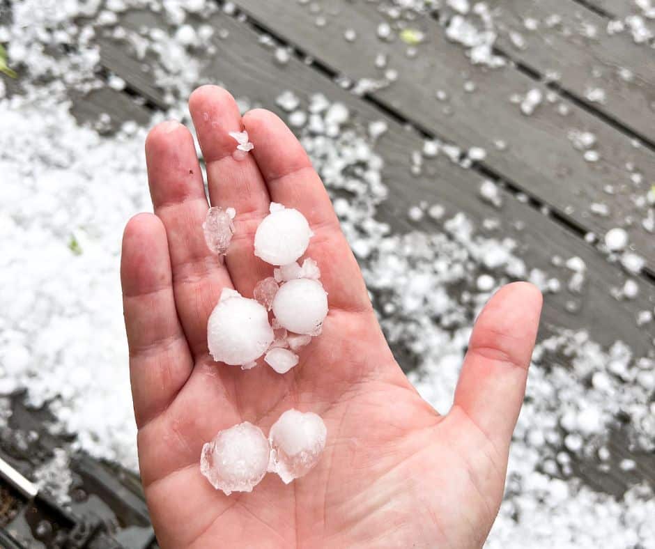 Main tenant plusieurs gros grêlons blancs de la taille d'une bille après un violent orage sur une terrasse.